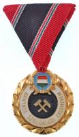 1989. Bányász Szolgálati Érdemérem gyémánt fokozata aranyozott Br kitüntetés mellszalaggal, adományozói okirattal T:1-