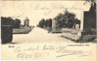 1901 Wien, Vienna, Bécs XI. Central-Friedhof, Allee / central cemetery. B.K.W.I. No. 2205. (EB)