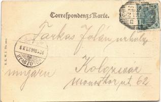 1901 Wien, Vienna, Bécs XI. Central-Friedhof, Allee / central cemetery. B.K.W.I. No. 2205. (EB)