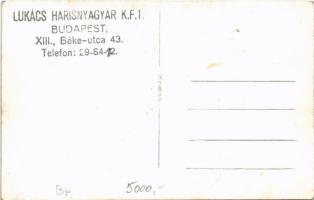 Budapest XIII. Béke utca 43. Lukács Harisnyagyár kft. photo