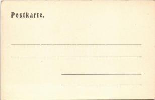 Landro (Südtirol), und Monte Cristallo / street view, hotel, mountain (EK)