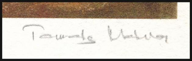 Tamás Mária (1960-): Mic vogmuc, 2010. Computer print, kézzel merített papír. Jelzett, számozott (19...