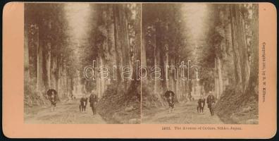 cca 1900 Japán, Nikko, a cédrusok útja, sztereófotó, 17,5×9 cm