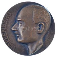 DN "Wallenberg" Br emlékplakett, vésve: Morvay (77mm) T:2