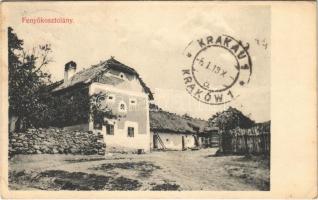 1912 Fenyőkosztolány, Jedlové Kostolany; utca. Brunczlik Imre kiadása / street (EK)