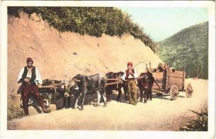 Bosnischer Bauernwagen / Bosnian folklore, peasants with ox cart (fl)