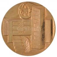 DN "Pollack Mihály Műszaki Főiskola" aranyozott Br emlékérem (60mm) T:1-