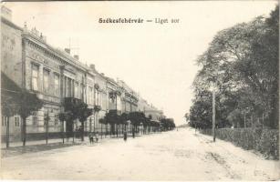 1913 Székesfehérvár, Liget sor. Robitsek Sándor kiadása 493. (EK)