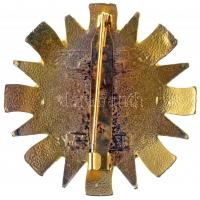 DN "Szent László Társaság és Rend Tisztikeresztje" aranyozott, zománcozott fém kitüntetés ...