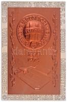 1974. "Ferencvárosi Torna Club 1899-1974" meghívó lemezérem az FTC Stadion megnyitása alkalmából, eredeti tokban (72x117mm) T:2