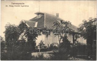 Temespaulis, Pavlis; Dr. Haag Aladár nyaralója / villa