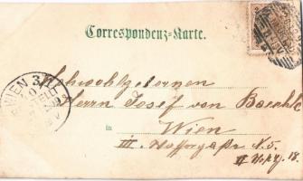 1899 Wiener Neustadt, Bécsújhely; Wr. Neustädter Brauhof / brewery, beer factory, decorated gate, co...