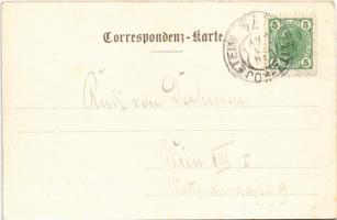 1907 Valasské  Mezirící, Wallachisch Meseritsch; K.k. Weiber-Straf-Anstalt, Partie an der Becva / wo...