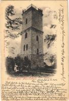 1903 Karlovy Vary, Karlsbad; Arberg / lookout tower (EK)