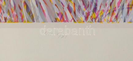 Hajdú László (1938-): "Geo", S. II, 1992. Szitanyomat, papír, jelzett. Művészpéldány E.A. ...