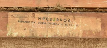 Biró Ferenc (1921-2001): Virágcsendélet. Olaj, vászon, jelzett. Hátoldalán töredékes Műcsarnok kiáll...