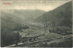 1913 Fenyőháza, Lubochna; látkép. Holczmann Izidor kiadása / general view (r)