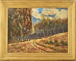 Ujházy jelzéssel: Erdőrészlet. Olaj, karton. Üvegezett fa keretben. 51x66,5 cm