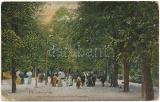 Trencsénteplic, Trencianske Teplice; Nagy zenesétány. Wertheim Zsigmond kiadása / music promenade, street view (EB)