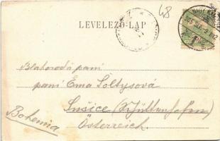 1905 Nagykanizsa, Városház palota, Schmer József üzlete, Deák tér télen. Art Nouveau, floral (EK)