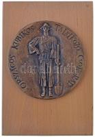 1979. "Országos Kubikos Találkozó Csongrád" egyoldalas, öntött Br plakett fa talpon (92mm)...