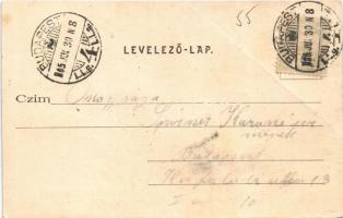 1905 Budaörs, látkép, tehenek (EB)