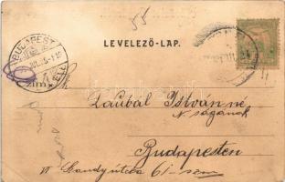 1903 Hortobágy, nádvágás a Hortobágy jegén, magyar folklór. Délibábok hazája. Telegdi K. Lajos utóda...