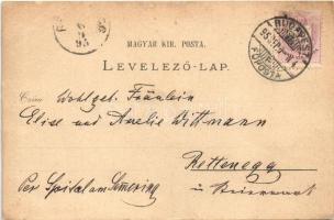 1895 (Vorläufer!!!) Budapest, Kioszk és fővárosi vigadó, Központi (Keleti) pályaudvar, vasútállomás,...