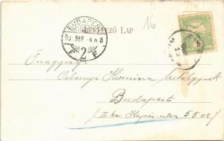 1903 Zirc, Park. Scherer János kiadása (EK)