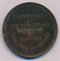 Nagy-Britannia 1883. "Francis Drake első angol szobra / Bemutatva szülőhelyén Tavistock-ban&quo...