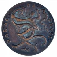 Csúcs Ferenc (1905-1999) 1949. "Dr. Illyés László / Parag-ra-phuss" Br emlékérem (69mm) T:...