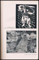 Bernáth Aurél: Írások a művészetről. Bp.,1947, Dante. Fekete-fehér fotókkal illusztrálva. Kiadói fél...