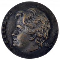 Csúcs Ferenc (1905-1999) DN "Dr. Papanek János / Adrienne" Br emlékérem peremén "1&qu...