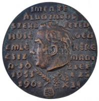 Csúcs Ferenc (1905-1999) 1963. "Ilus emlékének" Br emlékplakett peremén "5" sors...