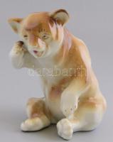 Román medve porcelán figura, kézzel festett, jelzett, hibátlan, m: 12 cm