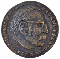 Csúcs Ferenc (1905-1999) 1976. Zaláni Béla a jó öreg numizmatikus Br emlékérem, peremén 6 sorszám (92mm) T:2