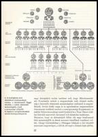 Dienes István: A honfoglaló magyarok. Második kiadás. Fekete-fehér fotókkal illusztrálva. Heredtias....