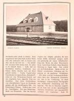 Landhaus und Villa. Architektur. Innendekorationen. Gärten. Unter Mitwirkung Führender Männer Heraus...