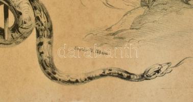 2 db XIX. sz. metszet, Victor Jean Adam (1801-1866) után: Chasse Au tigre (tigrisvadászat) és Chasse...