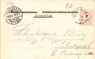 1898 Vukovár, Vukovar; Graf Eltzsches Schloss, Fischplatz / Dvor Grofa Eltza, Ribji trg / Eltz kasté...