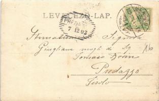 1903 Brassó, Kronstadt, Brasov; Weisser Thurm und Schlossberg. Verlag H. Zeidner No. 5. / Fehér toro...