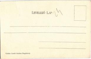 Nagykároly, Carei; Kölcsey szobor. Csókás László kiadása / statue (fl)