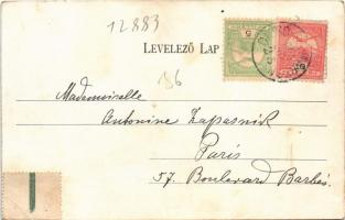 1905 Dicsőszentmárton, Tarnaveni, Diciosanmartin; látkép / general view (EK)