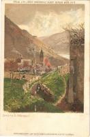 Spitz an der Donau (Wachau). Kunstanstalt Albert Berger litho