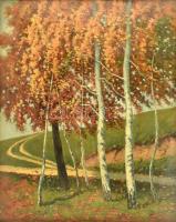 Olvashatatlan jelzéssel: Őszi táj. Olaj, karton. Üvegezett fa képkeretben. 39x31,5 cm