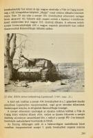 Veress D. Csaba: A balatoni csata. Veszprém megye felszabadításának katonai története. (1944. dec. 1...