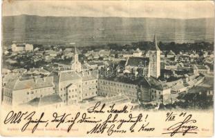 1901 Nagyenyed, Aiud; látkép. Grünfeld Dávid kiadása / general view + &quot;BRASSÓ - BUDAPEST 40. SZ.&quot; vasúti mozgóposta bélyegző (EK)