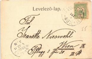 1901 Nagyenyed, Aiud; látkép. Grünfeld Dávid kiadása / general view + "BRASSÓ - BUDAPEST 40. SZ...