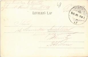 1915 Erdőd, Ardud (Szatmár); Erdődvár, Petőfi torony. Divald Károly kiadása / Cetatea Ardud (Castelu...