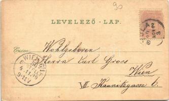 1899 (Vorläufer) Gyula, Megyeháza, Göndöcs népkerti pavilon, Római katolikus templom, Gróf Wenckheim...